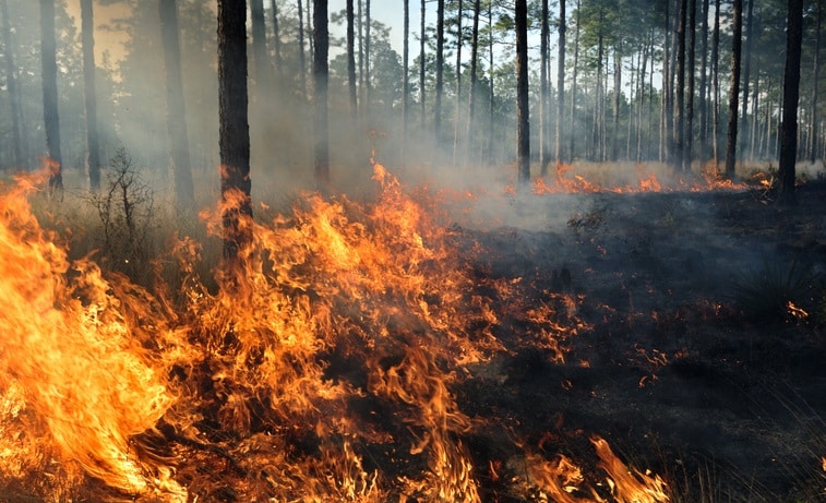 Brandwache nach einem Brand